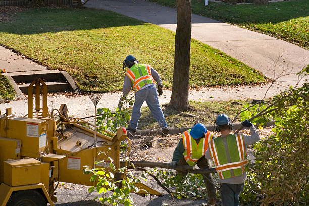 Best Landscape Design and Installation  in Rosemount, MN